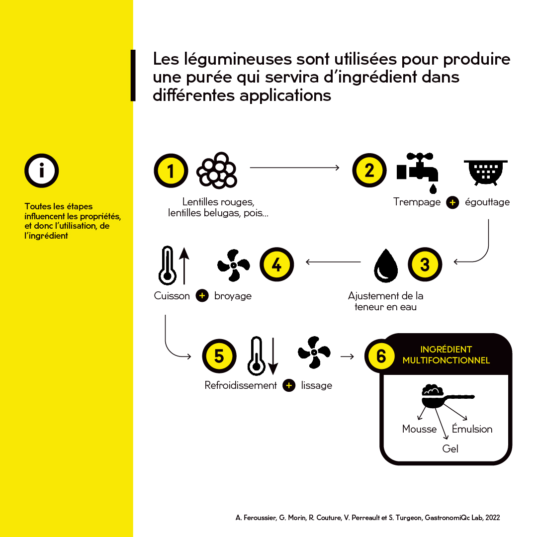 Vignette de l'infographie montrant les étapes de fabrication de l'ingrédient à base de légumineuses