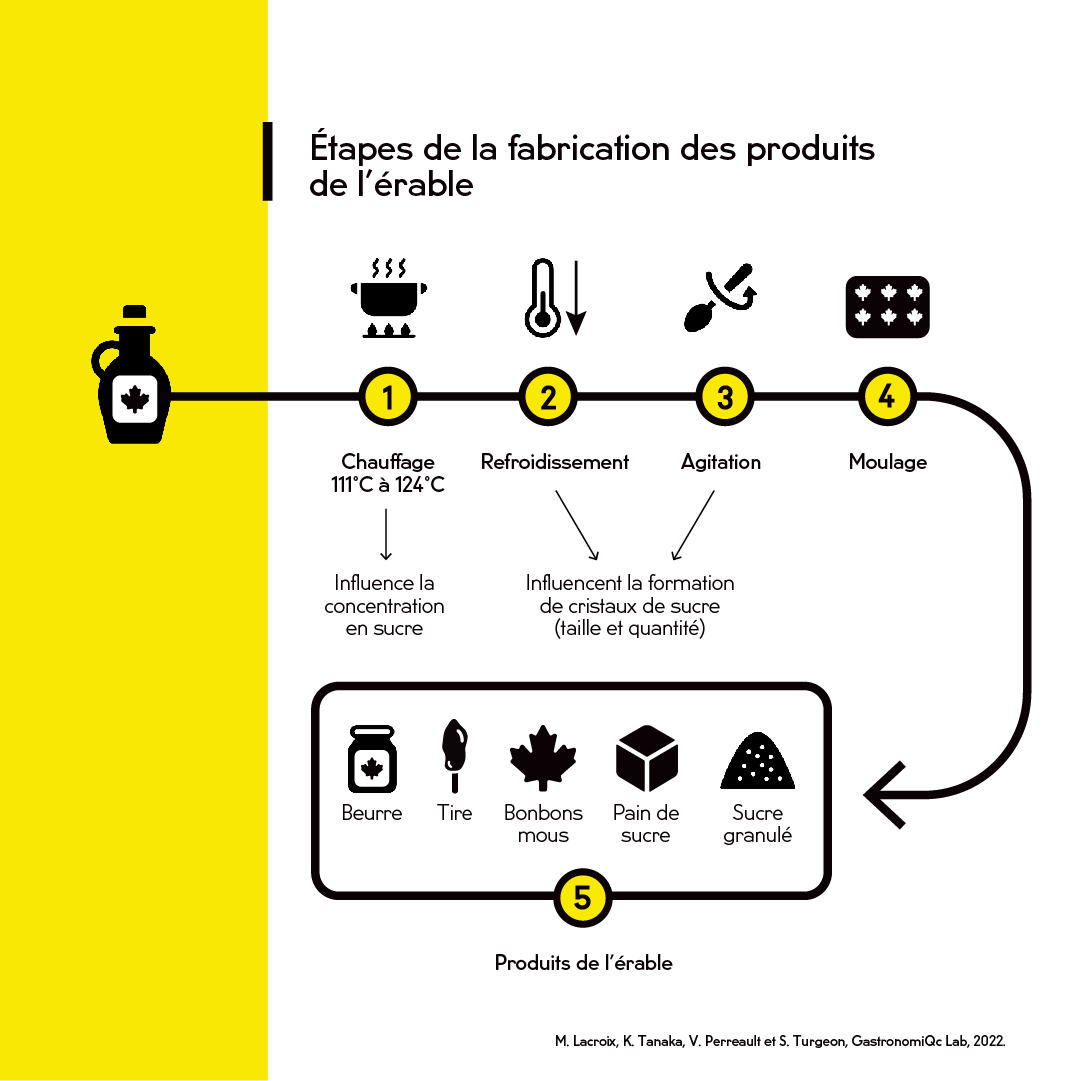 Vignette de l'infographie montrant les étapes de la transformation des produits de l'érable